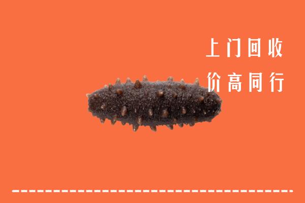保定高价回收海参