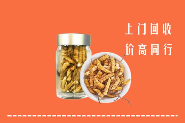 高价求购：保定回收冬虫夏草